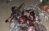 دستگیری یک گروه از متخلفین شکار و صید در ارتفاعات پناهگاه حیات وحش یخاب
